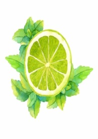 《皎皎》免费阅读